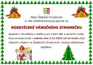 Rozsvícení stromu